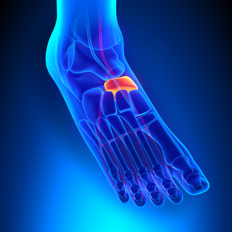 cyclist chris froomes navicular fracture